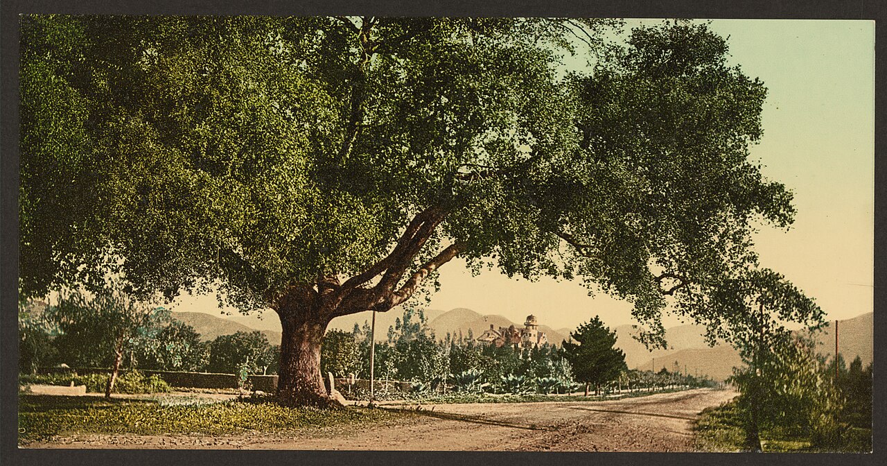 Lindsay, California in the Porterville area